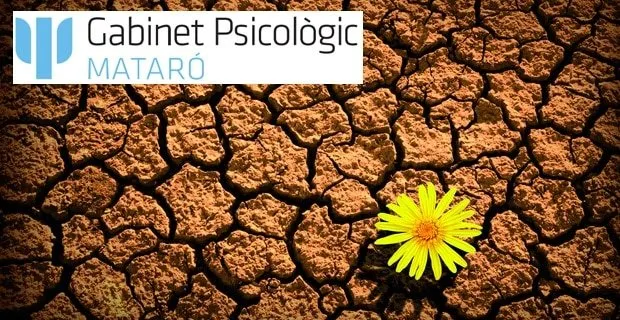 El poder de la resiliencia