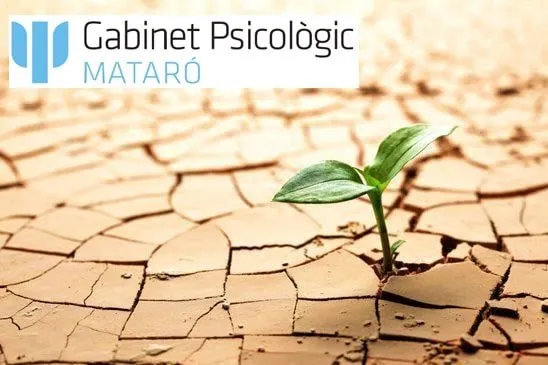 Resiliencia y bienestar