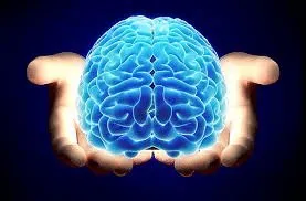 Tamaño del cerebro y TDAH